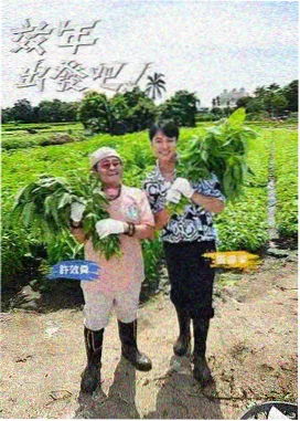 音乐综艺在线观看 声音的褶皱